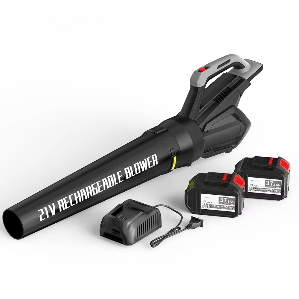 Cordless Leaf Blower with Batt - Leaf Blower Cordless recension och pris